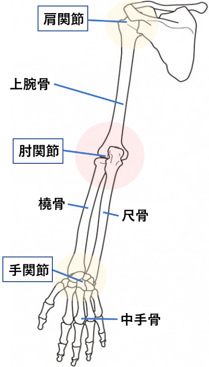 肘の痛み 西田整形外科クリニック